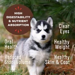 Primal Raw Pronto Puppy Recipe Dog Freeze-Dried Food 13 Primal Raw Pronto Puppy Recipe Dog Freeze-Dried Food -Pet Wellness 614366 PT4. AC SS1800 V1677773443