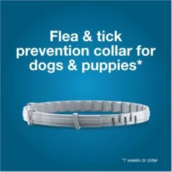 Seresto Flea & Tick Collar For Dogs, Up To 18 Lbs -Pet Wellness 61517 PT3. AC SS1800 V1683653686