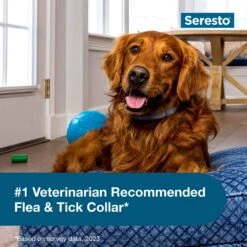 Seresto Flea & Tick Collar For Dogs, Over 18 Lbs -Pet Wellness 61519 PT4. AC SS1800 V1683652036