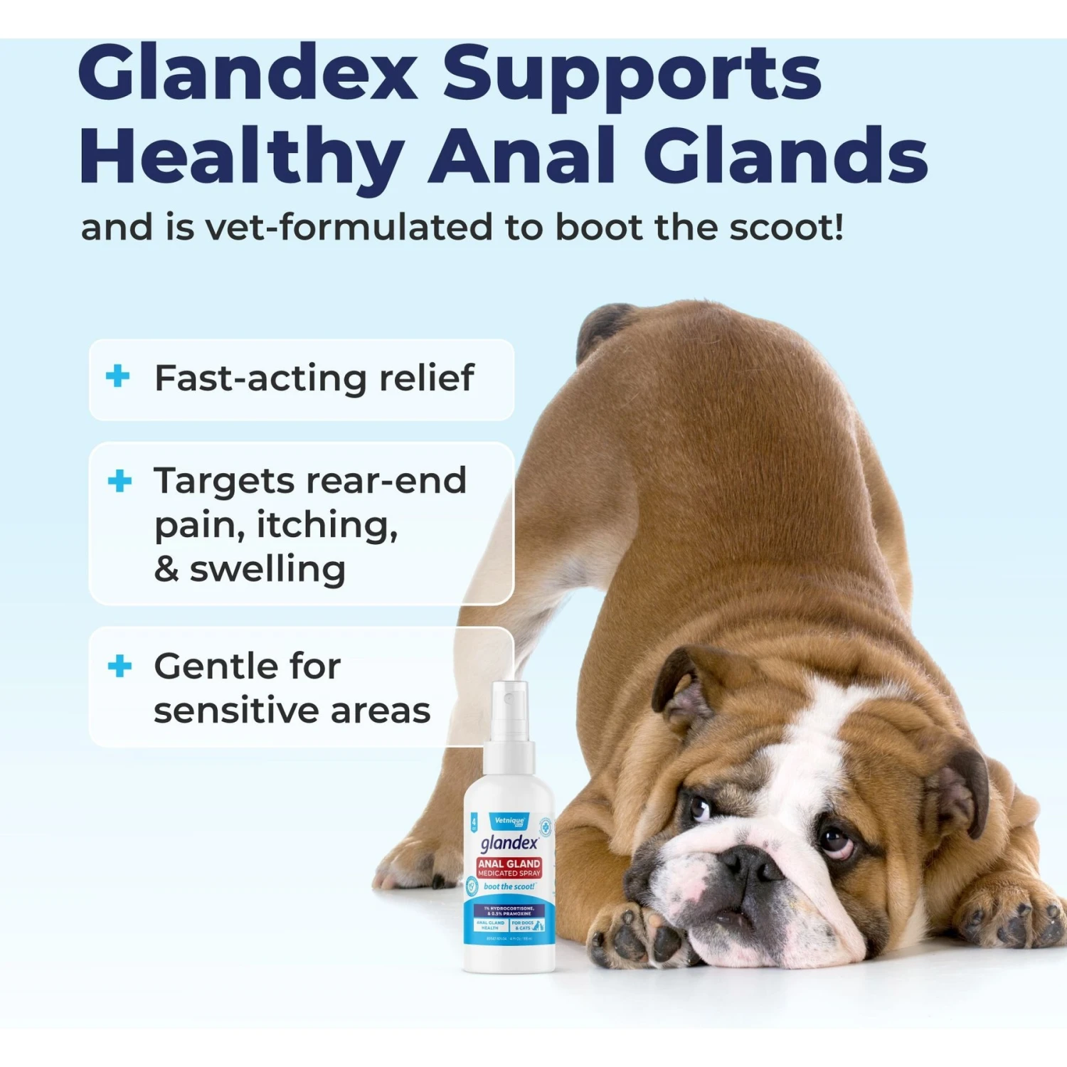 Vetnique Labs Glandex Anal Gland Medicated Anti Itch Spray For Dogs & Cats, 4-oz Bottle 5 Vetnique Labs Glandex Anal Gland Medicated Anti Itch Spray For Dogs & Cats, 4-oz Bottle - Image 5