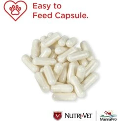 Nutri-Vet Probiotics Capsules Digestive Supplement For Dogs 10 Nutri-Vet Probiotics Capsules Digestive Supplement For Dogs -Pet Wellness 62195 PT2. AC SS1800 V1657660703