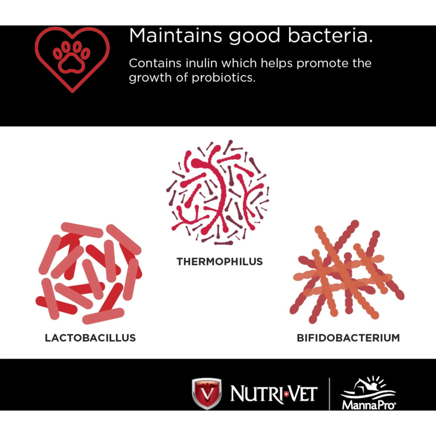 Nutri-Vet Probiotics Capsules Digestive Supplement For Dogs 5 Nutri-Vet Probiotics Capsules Digestive Supplement For Dogs - Image 5