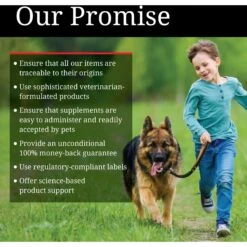 Nutri-Vet Probiotics Capsules Digestive Supplement For Dogs 15 Nutri-Vet Probiotics Capsules Digestive Supplement For Dogs -Pet Wellness 62195 PT7. AC SS1800 V1568128935