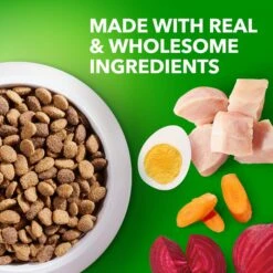 Iams Proactive Health Healthy Aging Mature & Senior Formula With Real Chicken Dry Dog Food -Pet Wellness 62805 PT3. AC SS1800 V1668024115