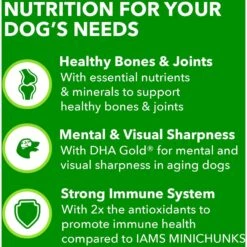 Iams Proactive Health Healthy Aging Mature & Senior Formula With Real Chicken Dry Dog Food -Pet Wellness 62805 PT4. AC SS1800 V1668024582