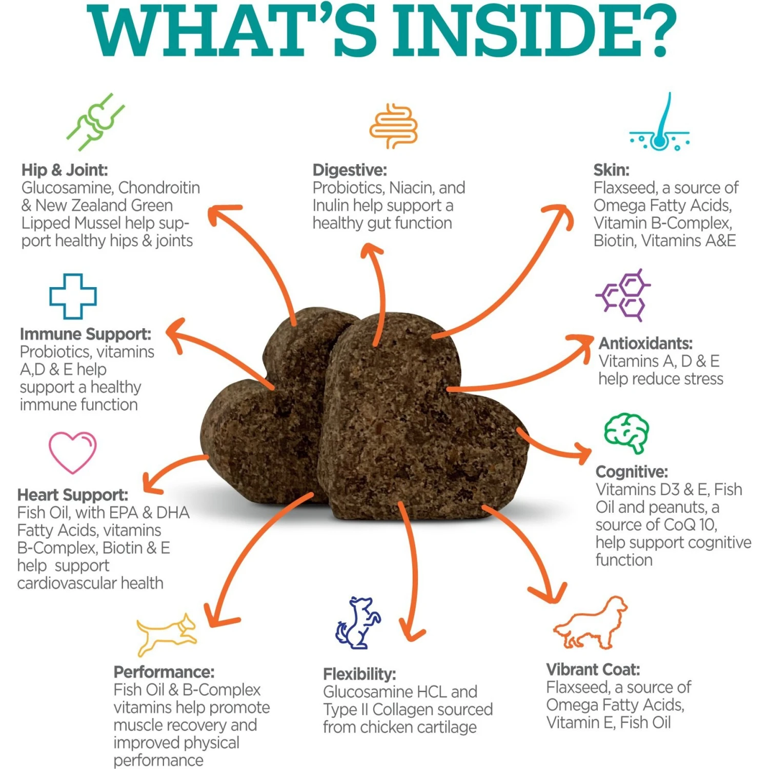 TevraPet 10in1 Multi Well Bites Dog Supplement, 60 Count 4 TevraPet 10in1 Multi Well Bites Dog Supplement, 60 Count - Image 4