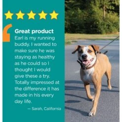 TevraPet 10in1 Multi Well Bites Dog Supplement, 60 Count 12 TevraPet 10in1 Multi Well Bites Dog Supplement, 60 Count -Pet Wellness 629438 PT5. AC SS1800 V1663191303