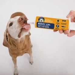 Under The Weather Ready Cal High Calorie Food Nutritional Gel Dog Supplement -Pet Wellness 629462 PT4. AC SS1800 V1660847427