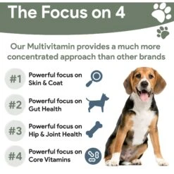 Chew + Heal 4-In-1 Support Multivitamin Dog Supplement 11 Chew + Heal 4-In-1 Support Multivitamin Dog Supplement -Pet Wellness 629526 PT3. AC SS1800 V1662475820