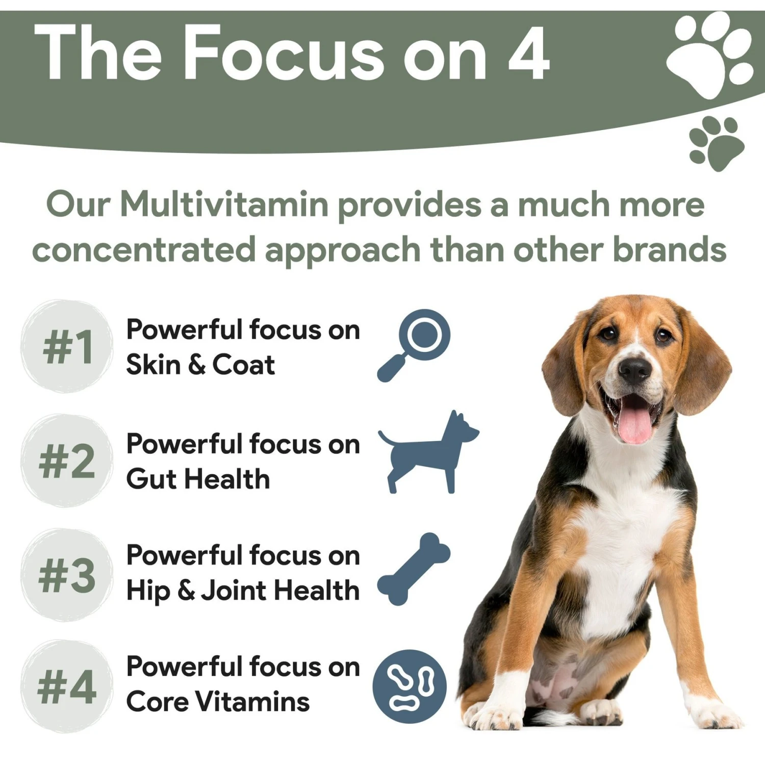 Chew + Heal 4-In-1 Support Multivitamin Dog Supplement 4 Chew + Heal 4-In-1 Support Multivitamin Dog Supplement - Image 4
