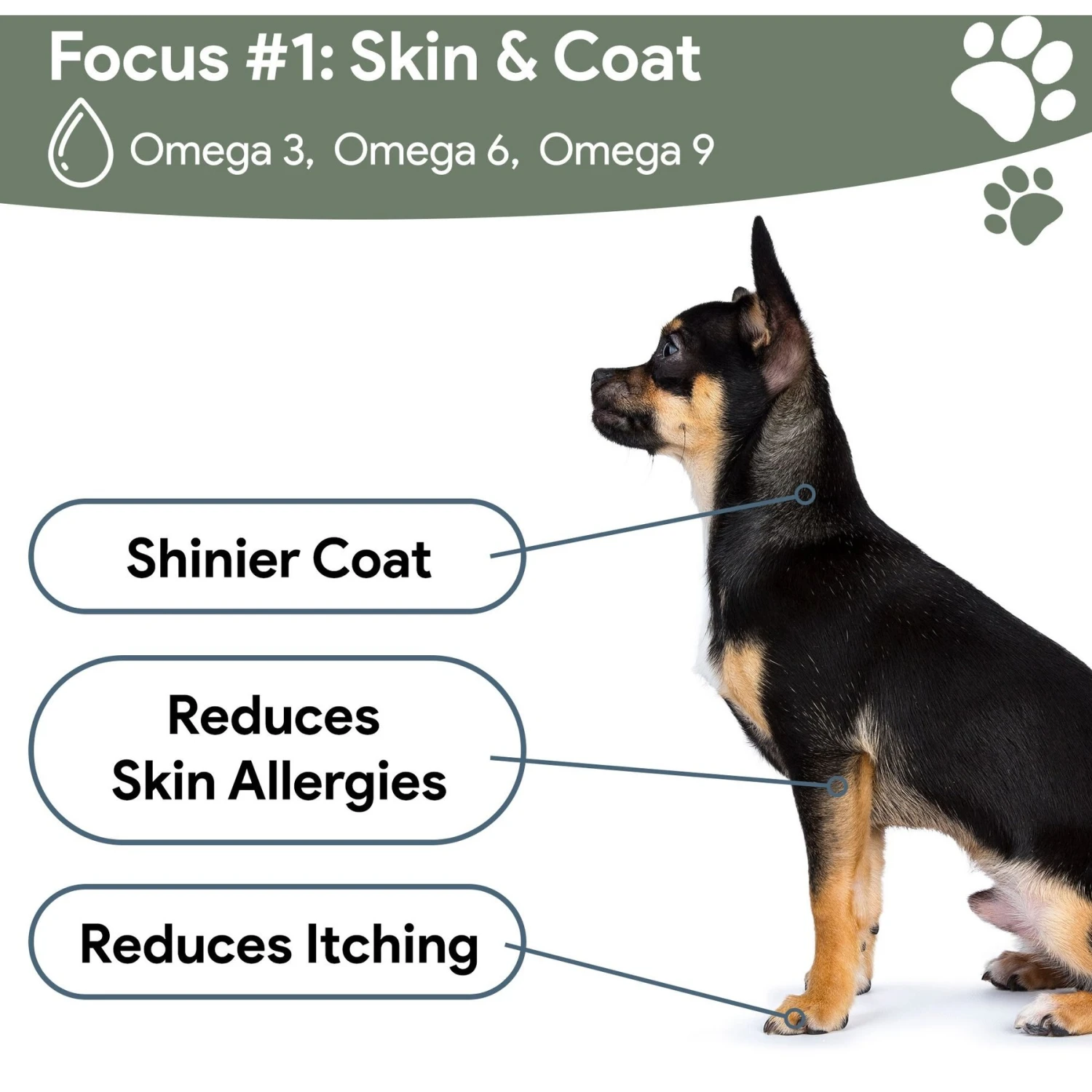 Chew + Heal 4-In-1 Support Multivitamin Dog Supplement 5 Chew + Heal 4-In-1 Support Multivitamin Dog Supplement - Image 5