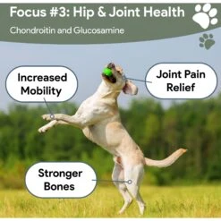 Chew + Heal 4-In-1 Support Multivitamin Dog Supplement 14 Chew + Heal 4-In-1 Support Multivitamin Dog Supplement -Pet Wellness 629526 PT6. AC SS1800 V1662502373