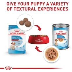 Royal Canin Size Health Nutrition Medium Puppy Dry Dog Food -Pet Wellness 63266 PT5. AC SS1800 V1697213803