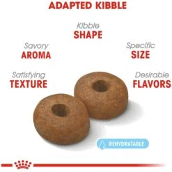 Royal Canin Size Health Nutrition Large Aging 8+ Dry Dog Food -Pet Wellness 63298 PT3. AC SS1800 V1697212396