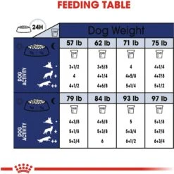 Royal Canin Size Health Nutrition Large Aging 8+ Dry Dog Food -Pet Wellness 63298 PT8. AC SS1800 V1697212824