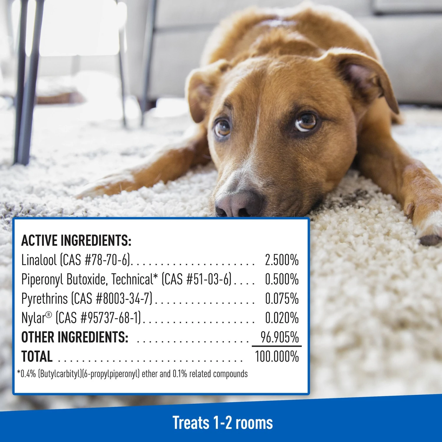 Adams® Adams Flea & Tick Carpet Powder + 2 Items 3 Adams® Adams Flea & Tick Carpet Powder + 2 Items - Image 3