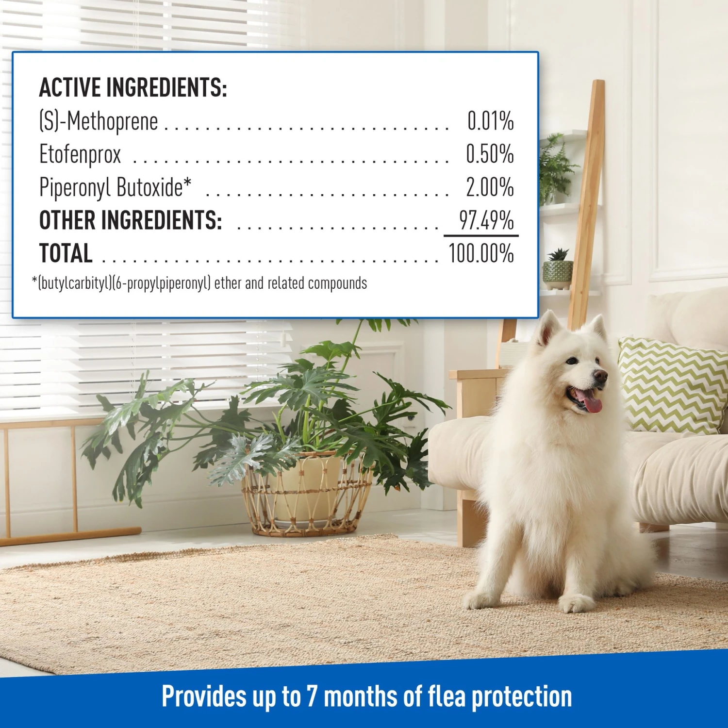 Adams® Adams Flea & Tick Carpet Powder + 2 Items 9 Adams® Adams Flea & Tick Carpet Powder + 2 Items - Image 9