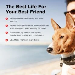 Nutri-Vet Advanced Strength Chewable Tablets Joint Supplement For Dogs -Pet Wellness 63402 PT6. AC SS1800 V1661973231