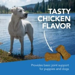 VetriScience GlycoFlex 1 Chicken Liver Flavored Soft Chews Joint Supplement For Dogs -Pet Wellness 63736 PT3. AC SS1800 V1649940084