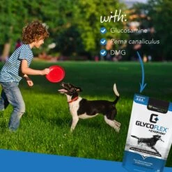 VetriScience GlycoFlex 1 Chicken Liver Flavored Soft Chews Joint Supplement For Dogs -Pet Wellness 63736 PT4. AC SS1800 V1649902592