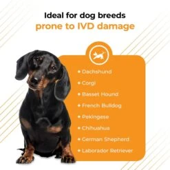 VetriScience Vetri Disc Capsules Joint Supplement For Dogs -Pet Wellness 63774 PT3. AC SS1800 V1658258958