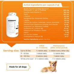 VetriScience Vetri Disc Capsules Joint Supplement For Dogs -Pet Wellness 63774 PT4. AC SS1800 V1658258900