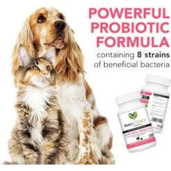 VetriScience Vetri Mega Probiotic Capsules Digestive Supplement For Cats & Dogs -Pet Wellness 63782 PT3. AC SS1800 V1658943921