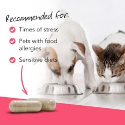 VetriScience Vetri Mega Probiotic Capsules Digestive Supplement For Cats & Dogs -Pet Wellness 63782 PT5. AC SS1800 V1658943595