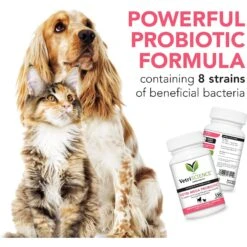 VetriScience Vetri Mega Probiotic Capsules Digestive Supplement For Cats & Dogs -Pet Wellness 63782 PT6. AC SS1800 V1658258899
