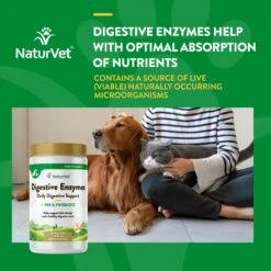 NaturVet Digestive Enzymes Plus Probiotic Powder Digestive Supplement For Cats & Dogs 12 NaturVet Digestive Enzymes Plus Probiotic Powder Digestive Supplement For Cats & Dogs -Pet Wellness 63793 PT3. AC SS1800 V1698691664