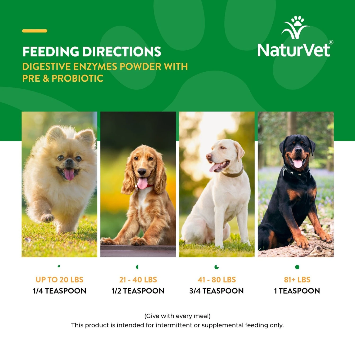 NaturVet Digestive Enzymes Plus Probiotic Powder Digestive Supplement For Cats & Dogs 7 NaturVet Digestive Enzymes Plus Probiotic Powder Digestive Supplement For Cats & Dogs - Image 7
