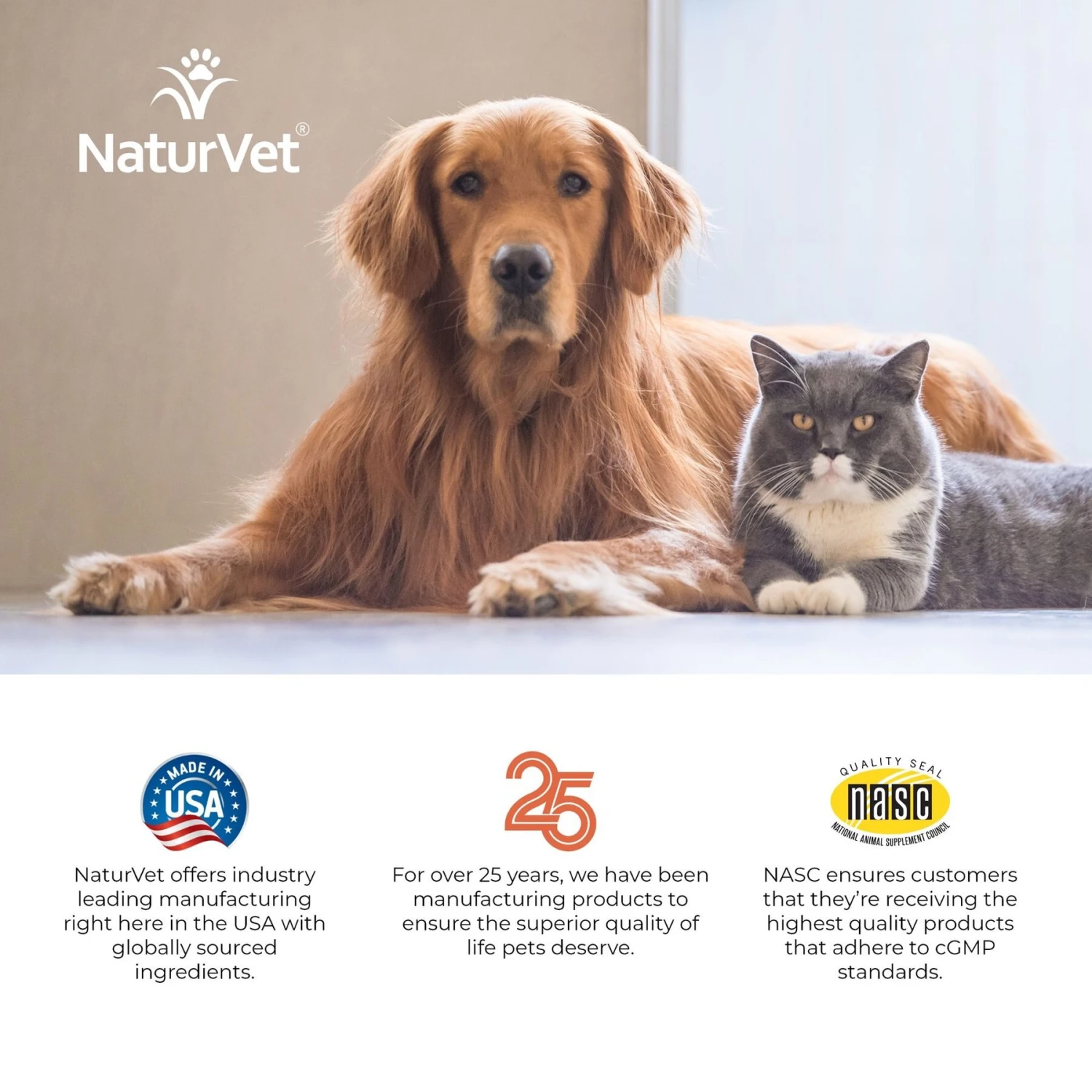 NaturVet Digestive Enzymes Plus Probiotic Powder Digestive Supplement For Cats & Dogs 9 NaturVet Digestive Enzymes Plus Probiotic Powder Digestive Supplement For Cats & Dogs - Image 9