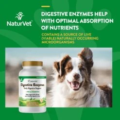 NaturVet Digestive Enzymes Plus Probiotic Chewable Tablets Digestive Supplement For Cats & Dogs -Pet Wellness 63794 PT3. AC SS1800 V1698694069