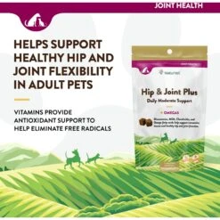NaturVet Hip & Joint Plus Omegas Soft Chews Joint Supplement For Cats & Dogs -Pet Wellness 63805 PT2. AC SS1800 V1698696071