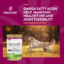 NaturVet Hip & Joint Plus Omegas Soft Chews Joint Supplement For Cats & Dogs -Pet Wellness 63805 PT3. AC SS1800 V1698696412
