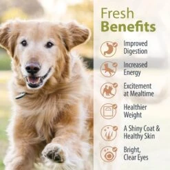 JustFoodForDogs Veterinary Diet PantryFresh Metabolic Support Shelf-Stable Fresh Dog Food, 12.5-oz Pouch, Case Of 12 14 JustFoodForDogs Veterinary Diet PantryFresh Metabolic Support Shelf-Stable Fresh Dog Food, 12.5-oz Pouch, Case Of 12 -Pet Wellness 638806 PT5. AC SS1800 V1666299611