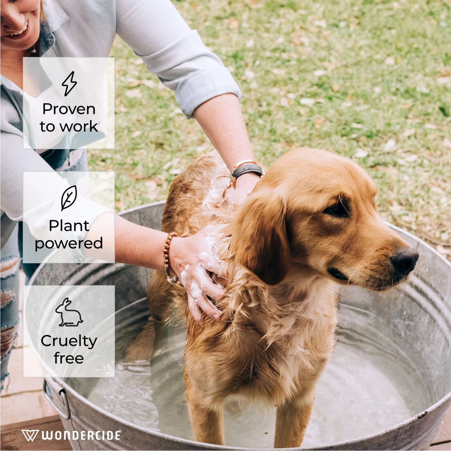 Wondercide Flea & Tick Peppermint Cat & Dog Shampoo, 12-oz Bottle 2 Wondercide Flea & Tick Peppermint Cat & Dog Shampoo, 12-oz Bottle - Image 2