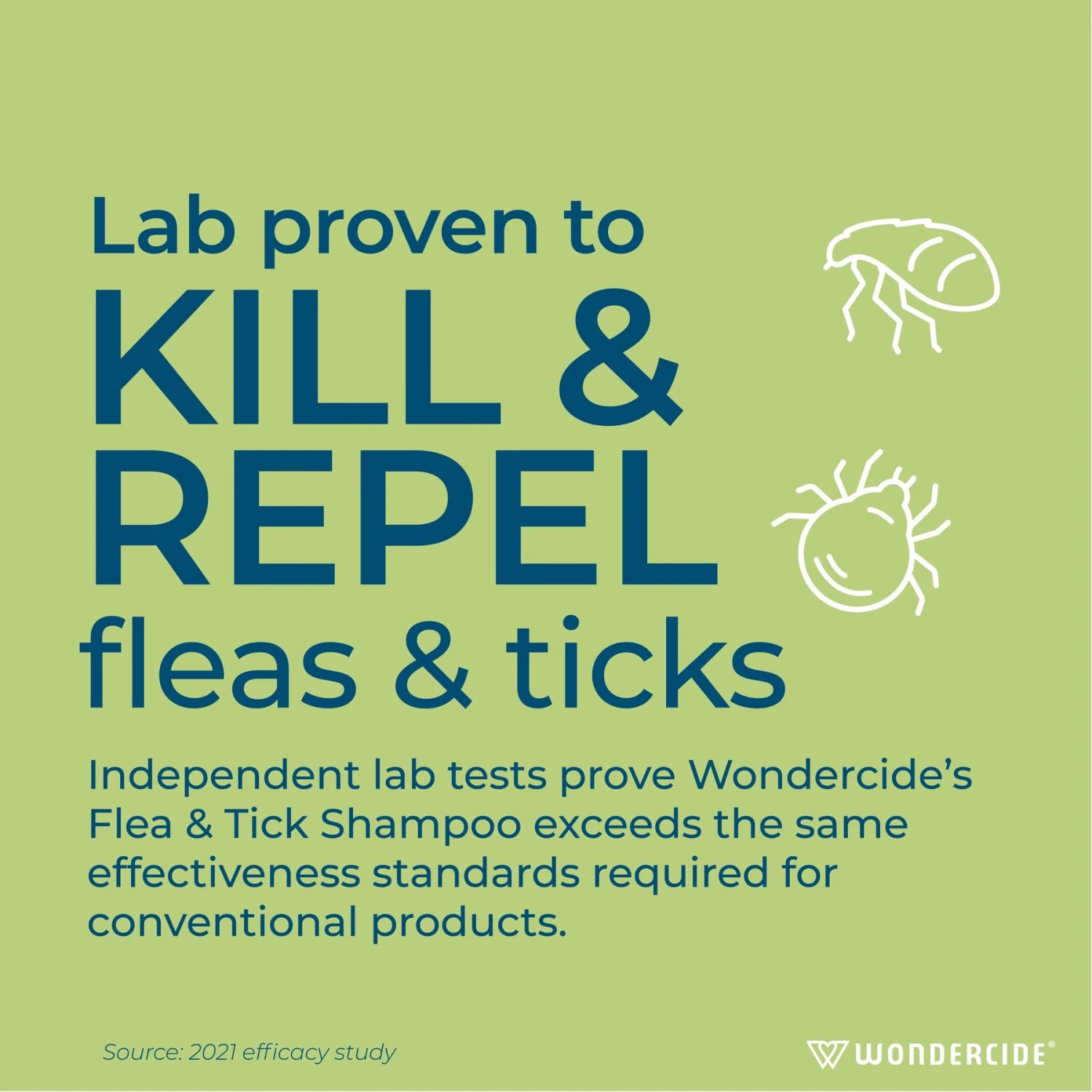 Wondercide Flea & Tick Peppermint Cat & Dog Shampoo, 12-oz Bottle 3 Wondercide Flea & Tick Peppermint Cat & Dog Shampoo, 12-oz Bottle - Image 3