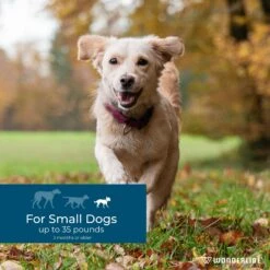 Wondercide Spot-On Peppermint Flea & Tick Spot Treatment For Small Dogs, 3 Doses (3-mos. Supply) 9 Wondercide Spot-On Peppermint Flea & Tick Spot Treatment For Small Dogs, 3 Doses (3-mos. Supply) -Pet Wellness 639694 PT3. AC SS1800 V1665779483