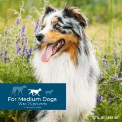 Wondercide Spot-On Peppermint Flea & Tick Spot Treatment For Medium Dogs, 3 Doses (3-mos. Supply) -Pet Wellness 639710 PT3. AC SS1800 V1665782185