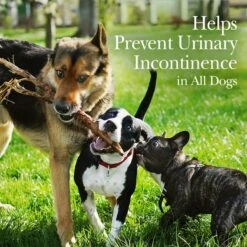 Nutri-Vet Bladder Control Chewable Tablets Urinary Supplement For Dogs -Pet Wellness 64346 PT3. AC SS1800 V1657660708