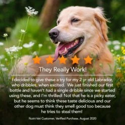 Nutri-Vet Bladder Control Chewable Tablets Urinary Supplement For Dogs -Pet Wellness 64346 PT5. AC SS1800 V1632957393