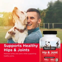 Nutri-Vet Regular Strength Chewable Tablets Joint Supplement For Dogs -Pet Wellness 64351 PT4. AC SS1800 V1661973805