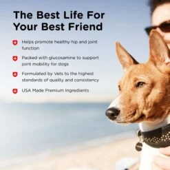 Nutri-Vet Regular Strength Chewable Tablets Joint Supplement For Dogs -Pet Wellness 64351 PT6. AC SS1800 V1661973744