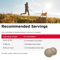 Nutri-Vet Regular Strength Chewable Tablets Joint Supplement For Dogs -Pet Wellness 64351 PT7. AC SS1800 V1661974172