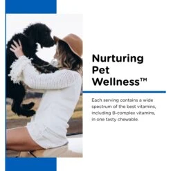 Nutri-Vet Puppy-Vite Chewable Tablets Multivitamin For Dogs -Pet Wellness 64355 PT2. AC SS1800 V1657660709