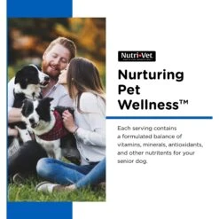 Nutri-Vet Senior-Vite Liver Flavor Chewable Tablet Multivitamin For Senior Dogs 11 Nutri-Vet Senior-Vite Liver Flavor Chewable Tablet Multivitamin For Senior Dogs -Pet Wellness 64361 PT2. AC SS1800 V1657661013