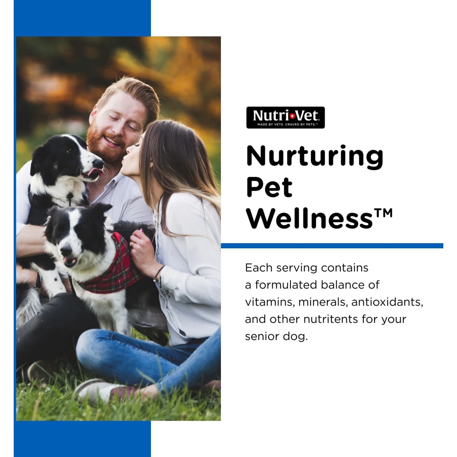 Nutri-Vet Senior-Vite Liver Flavor Chewable Tablet Multivitamin For Senior Dogs 3 Nutri-Vet Senior-Vite Liver Flavor Chewable Tablet Multivitamin For Senior Dogs - Image 3