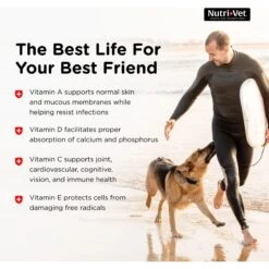 Nutri-Vet Senior-Vite Liver Flavor Chewable Tablet Multivitamin For Senior Dogs 12 Nutri-Vet Senior-Vite Liver Flavor Chewable Tablet Multivitamin For Senior Dogs -Pet Wellness 64361 PT3. AC SS1800 V1657661013