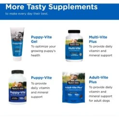 Nutri-Vet Senior-Vite Liver Flavor Chewable Tablet Multivitamin For Senior Dogs 14 Nutri-Vet Senior-Vite Liver Flavor Chewable Tablet Multivitamin For Senior Dogs -Pet Wellness 64361 PT5. AC SS1800 V1657661013